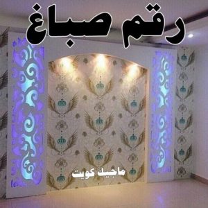 رقم صباغ
