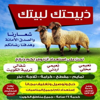 غنم للبيع - اغنام للبيع - ذبايح - قصاب📞51374064 - اغنام الكويت - ذبائح الكويت - ذبايح اغنام - قصاب - قصاب متنقل - قصاب الكويت - غنم - خرفان للبيع - سوق الغنم - ذبايح للبيع
